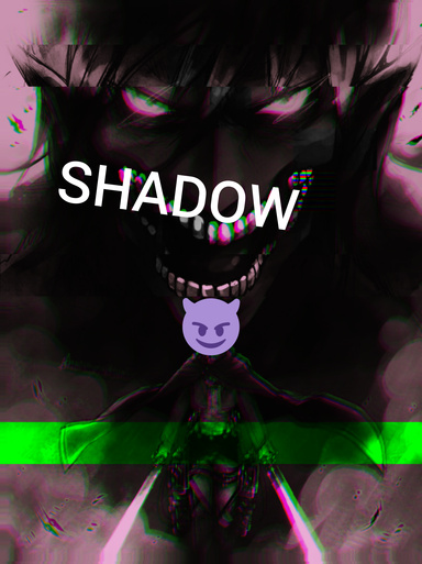 shadow2010_gamer