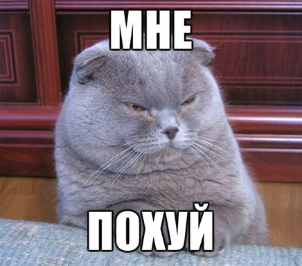 drochygdehochuzakonom