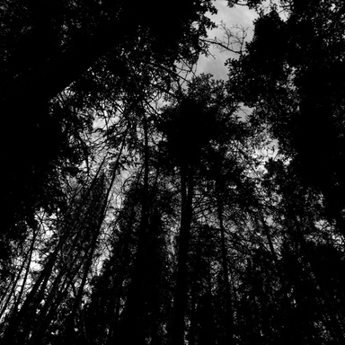 артём васенёв