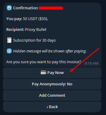 pay-now.png