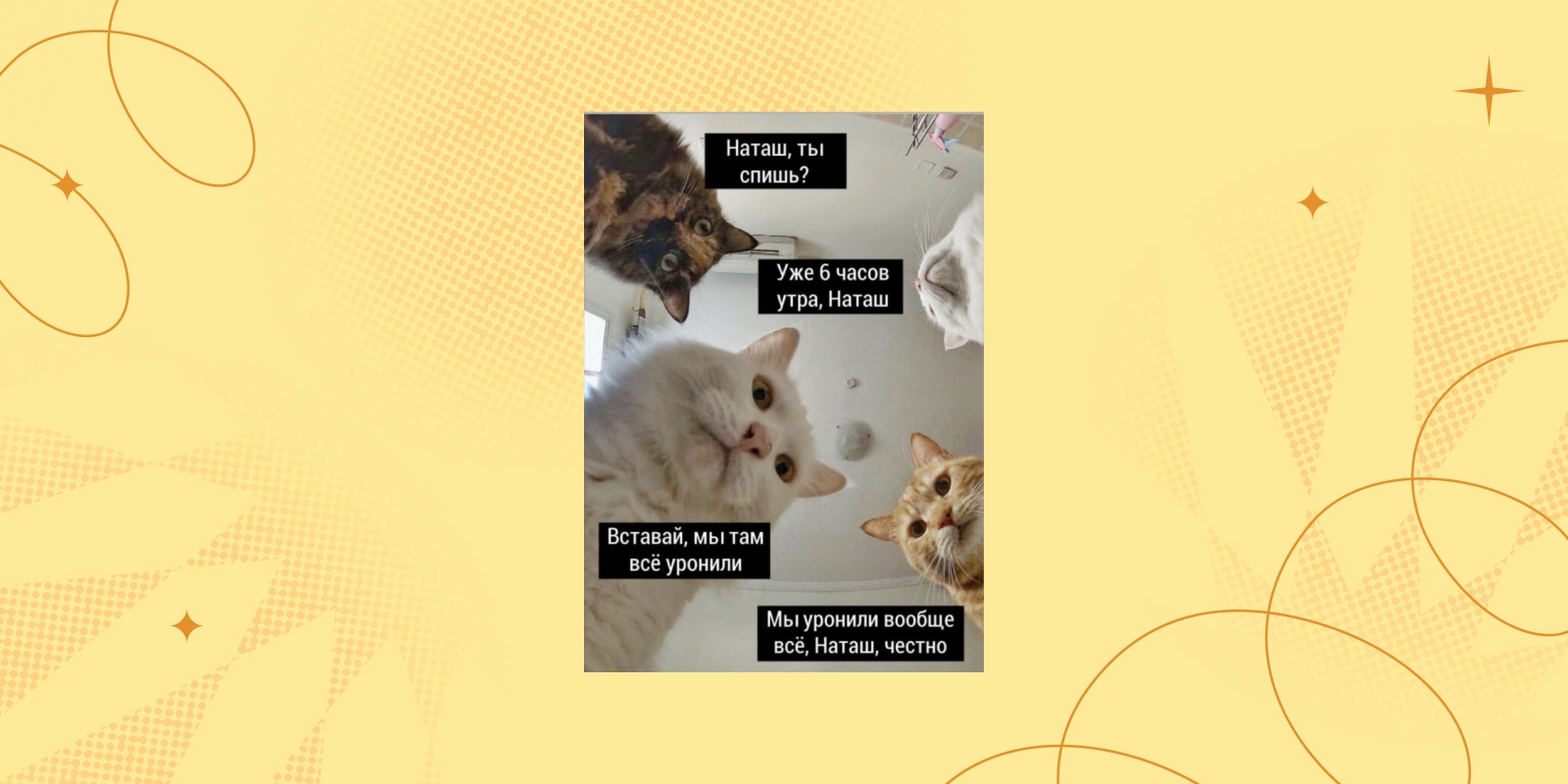 Старый мем «Наташа, мы всё уронили»