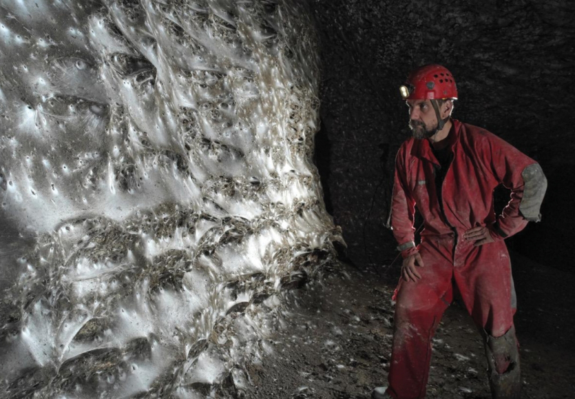 Фільм жахів у реальності: дослідники знайшли підземне “місто”, заселене 100 000 павуками