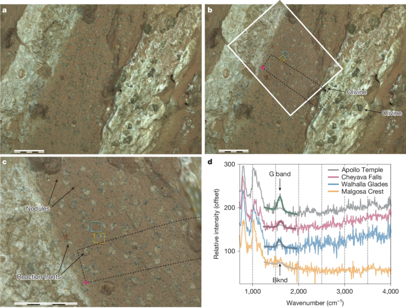 Життя на Марсі: NASA оголосила про ймовірні докази