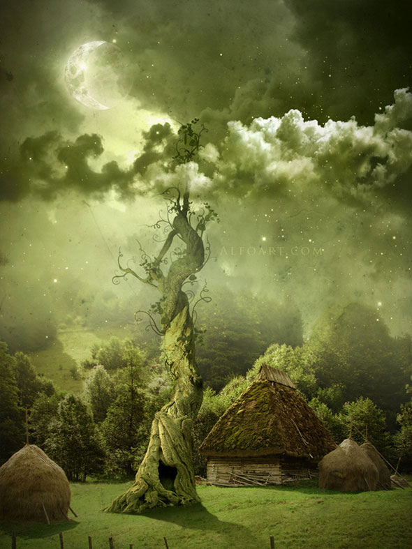 beanstalk-photoshop-final.jpg