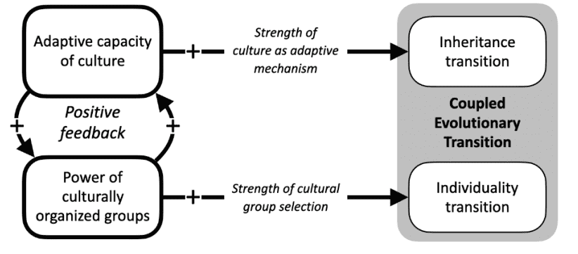 Еволюція людей продовжується, але вже не через генетику, — гіпотеза