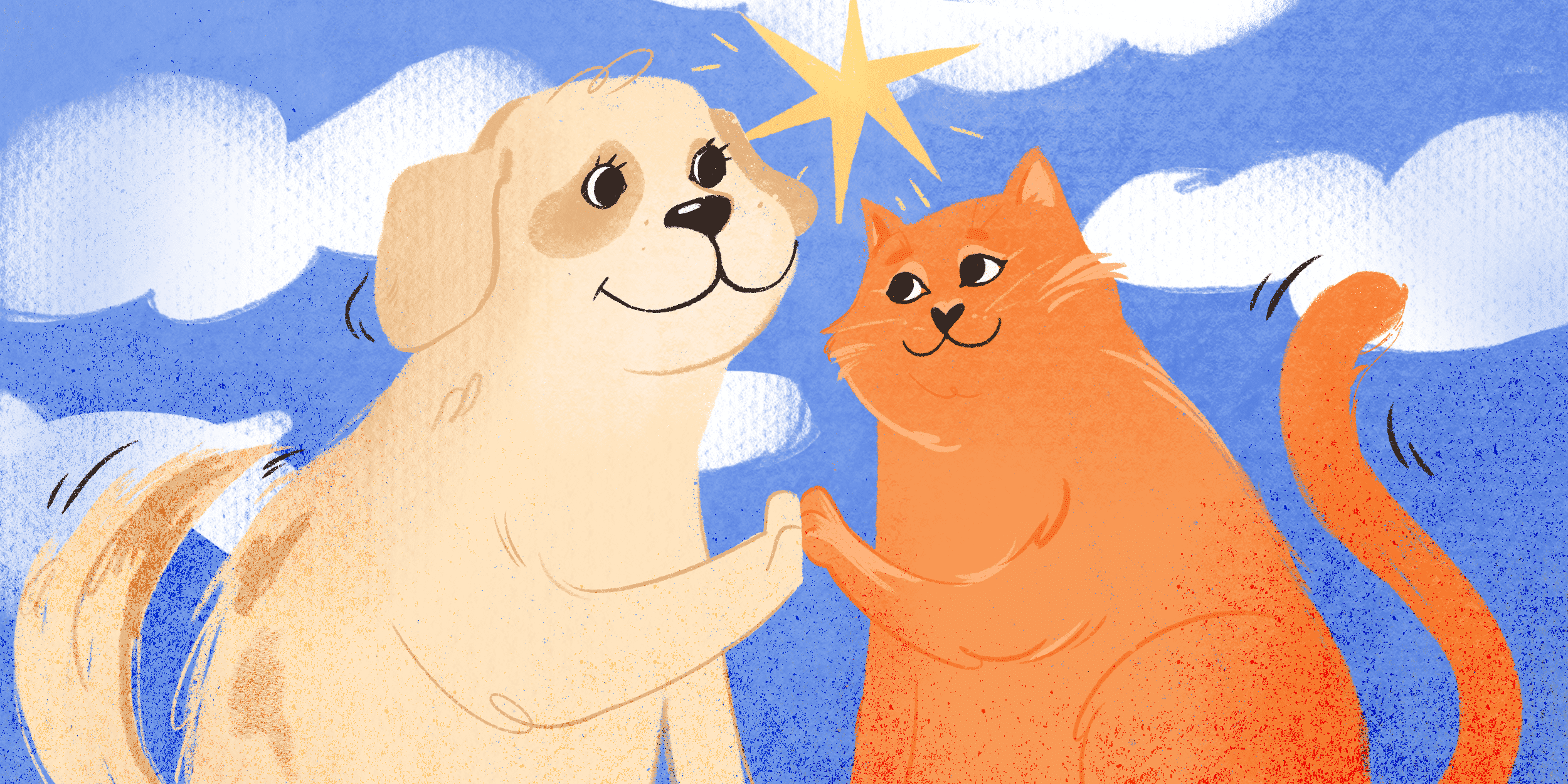 новое счастье